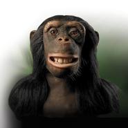 animatronic chimp